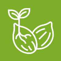 LIBENGA, société spécialisée dans le négoce du Fruit Miracle