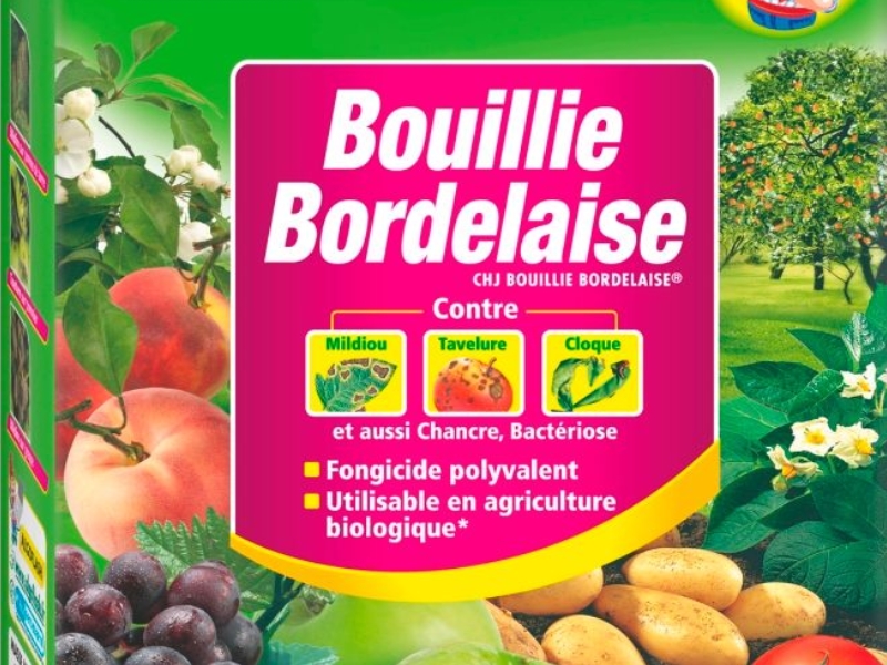 Bouillie bordelaise : Toxique pour la biodiversité du jardin