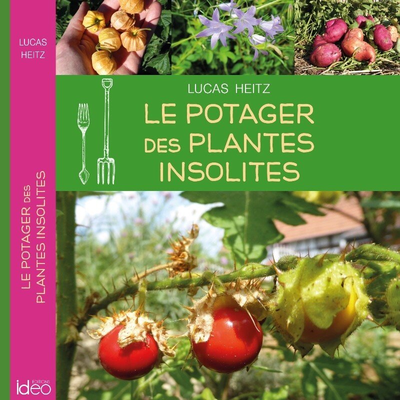 Livre : Le potager des plantes insolites (Lucas HEITZ) - Alsagarden