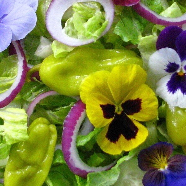 Les fleurs comestibles : 1001 façons d'en tirer parti