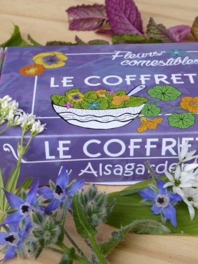 Coffret Fleurs comestibles (10 variétés comestibles) Graines