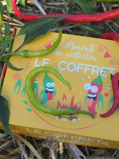 Coffret Piments de Collection (6 Variétés pour Sauces piquantes)