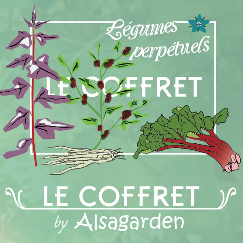 Coffret de graines de plantes aromatiques cuisine Ferme de Beaumont