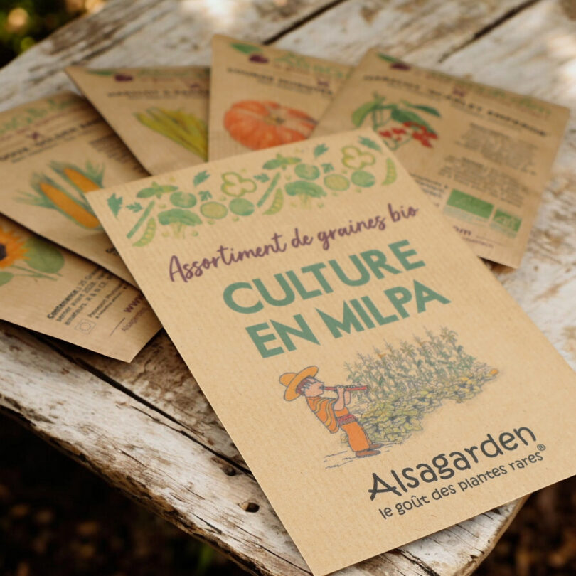 Assortiment Culture en Milpa (5 Variétés de graines BIO) – Image 2