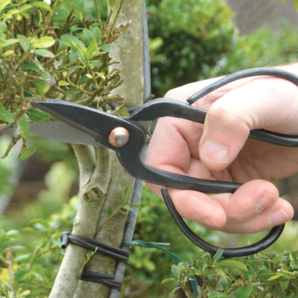 Ciseaux de jardin bonsaï lames droites 16cm 