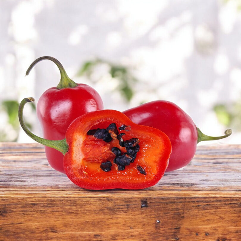 Piment Rocoto 'Mini-Red' (Variété rare) Graines